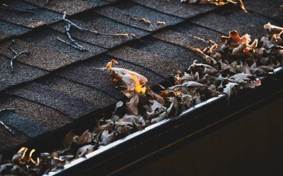 The Cost of Neglecting Your Gutters – And How to Avoid It